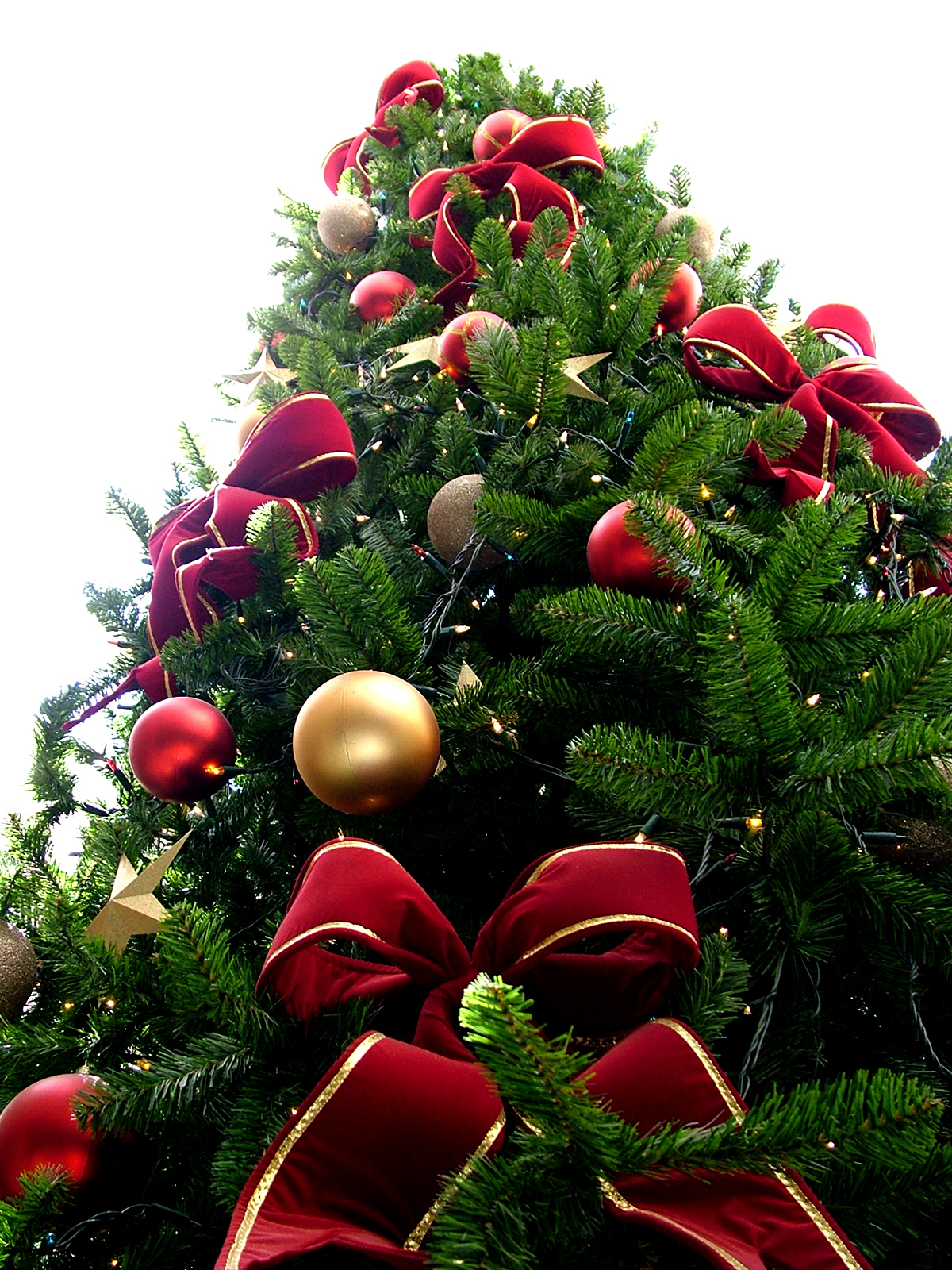 Christmas_tree