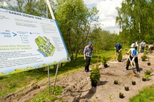 foto no LVM Dabas izzinas takas - pirmā skābekļa meža pilsētvidē