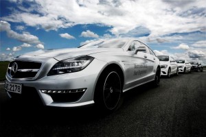 Mercedes-Benz Star Experience Wild Beauties 1