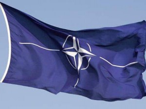 nato-bayragi