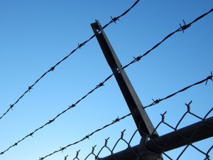 barbed-wire-482608_640