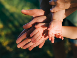 Screenshot 2025-10-30 201938