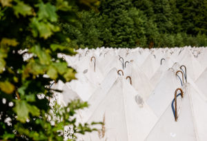 Screenshot 2025-11-12 154849