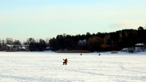 Ekrānuzņēmums 2026-02-02 200955